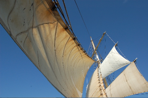 sails.jpg